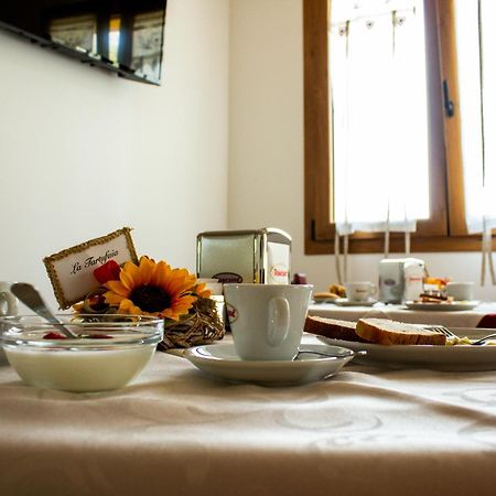 La Cerqua Villa Arcevia Ngoại thất bức ảnh